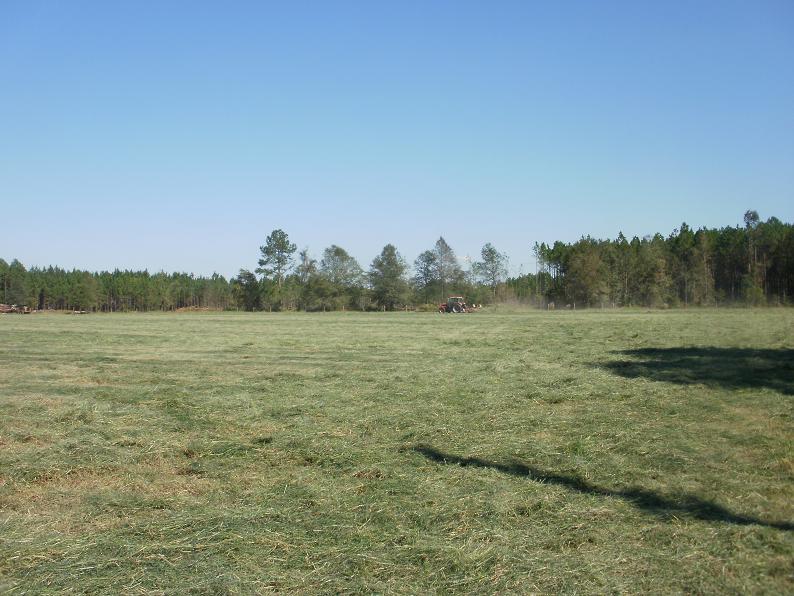 PA230006